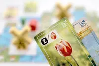 Dragon's Lair Frosted Blooms brädspel tulpaner 10 rundor