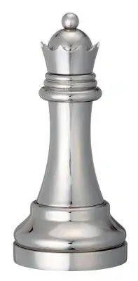 Dragon's Lair Chess Queen Silver pussel silver med mynt