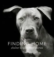 Games Room Finding Home hundfotobok av Traer Scott