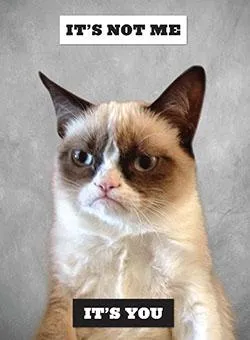 Games Room Grumpy Cat bok humor presentutgåva