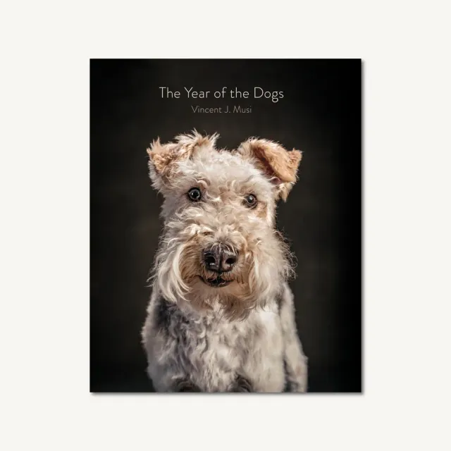Games Room Year of the Dogs fotobok hundar