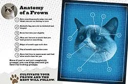 Games Room Grumpy Cat bok humor presentutgåva