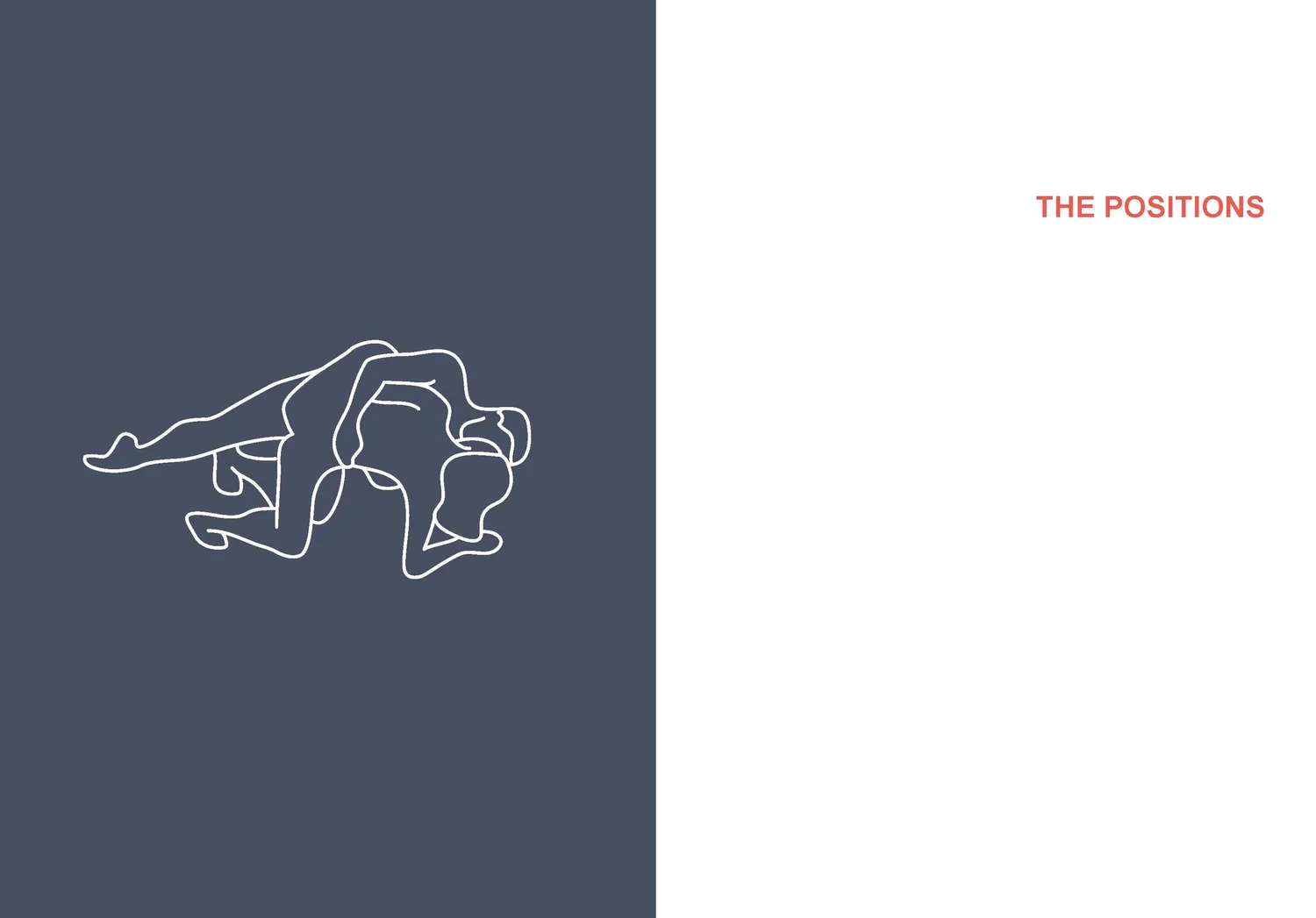 Games Room Position of the Day Playbook sexbok