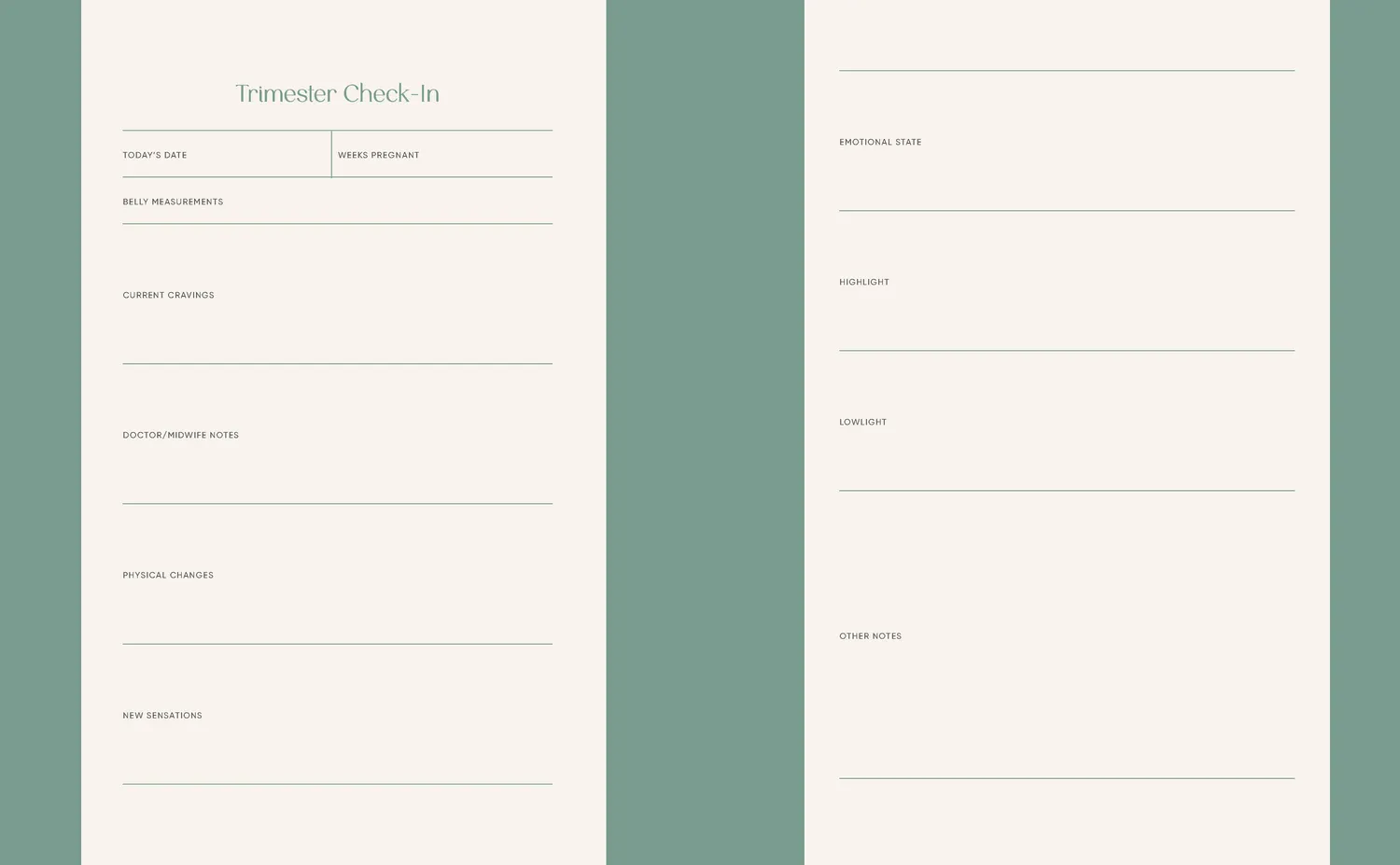 Games Room Growing Together Pregnancy Journal gravidjournal
