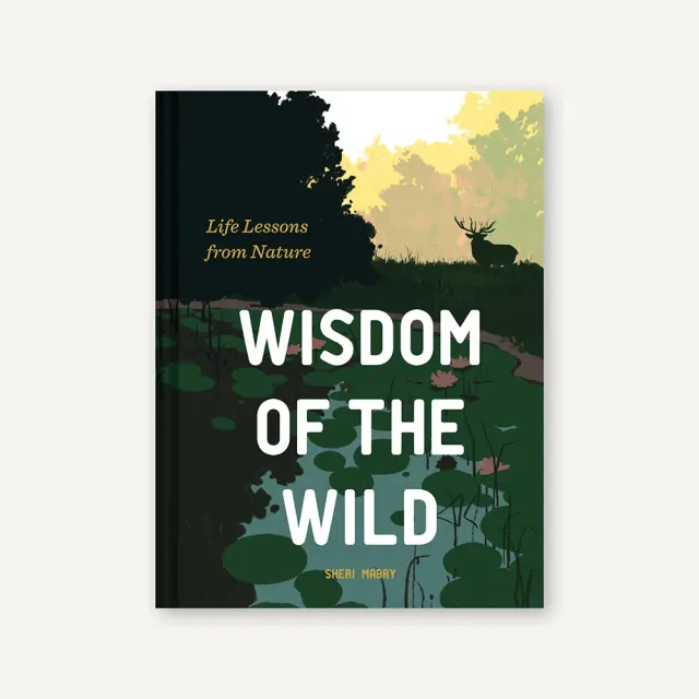 Games Room Wisdom of the Wild bok naturvisdom