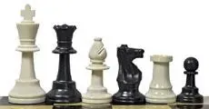 Dragon's Lair Plastic Chess Piece King 3 34 Club Weighted schack