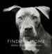 Games Room Finding Home hundfotobok av Traer Scott