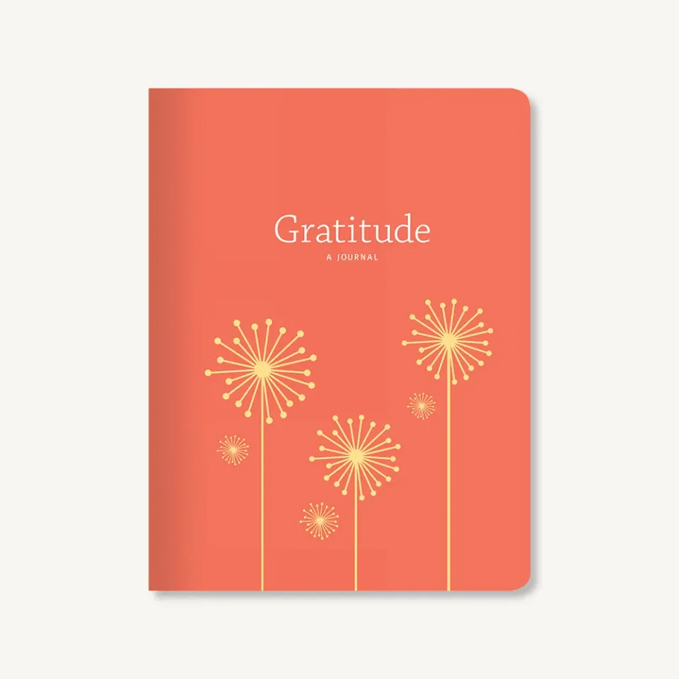 Games Room Gratitude tacksamhetsdagbok guidad 1 år